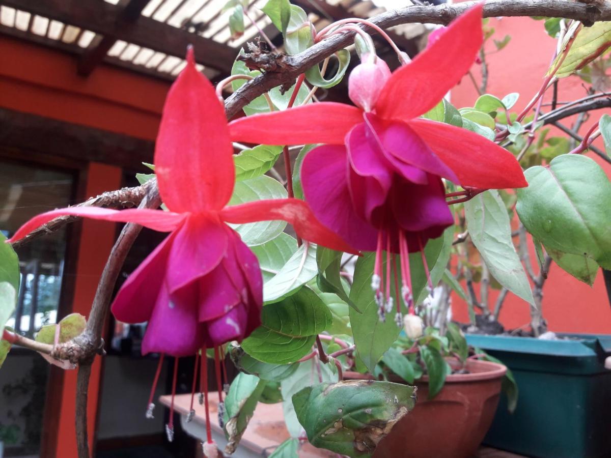 Posada La Sonada Tafí del Valle Екстериор снимка